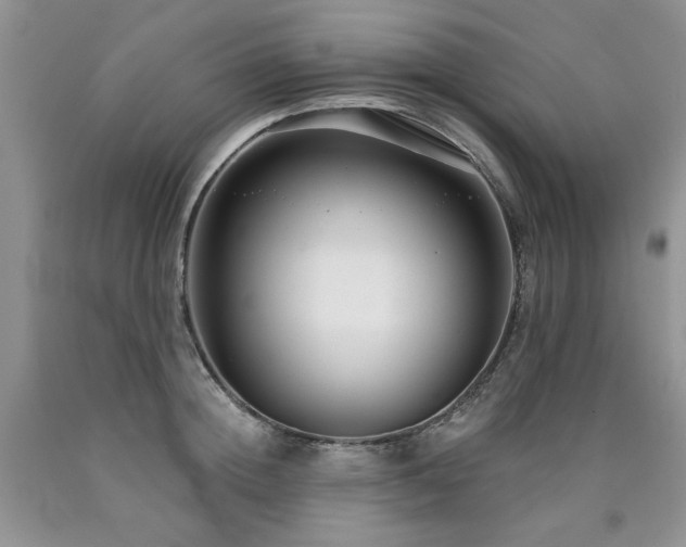 X0000090770852200707201437