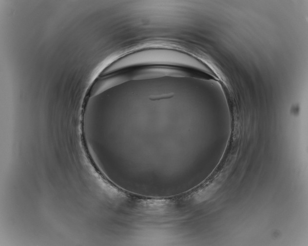 X0000090770853200707201437