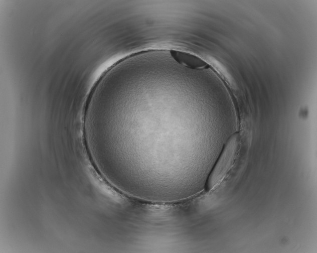 X0000090770854200707201437