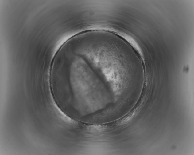 X0000090770855200707201437