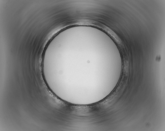 X0000090770856200707201437