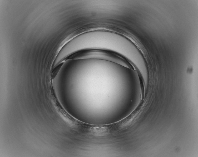 X0000090770858200707201437