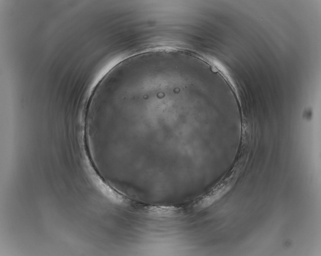 X0000090770859200707201437