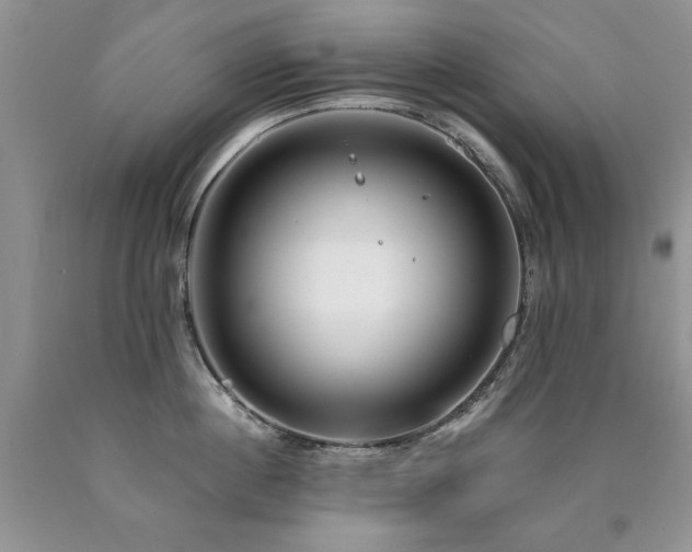 X0000090770860200707201437