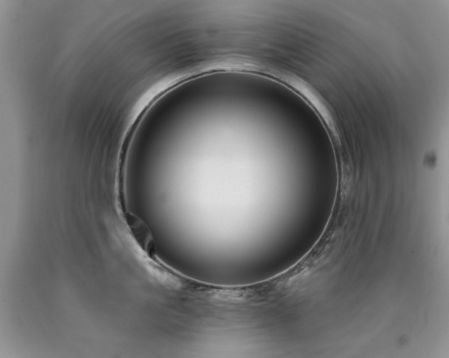 X0000090770861200707201437