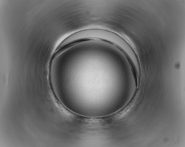 X0000090770862200707201437