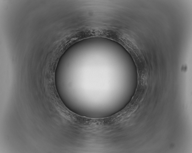 X0000090770865200707201436