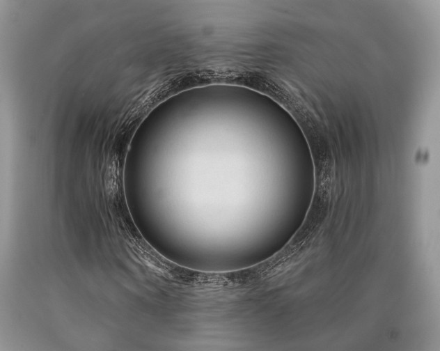 X0000090770866200707201436