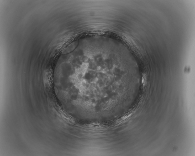 X0000090770867200707201436