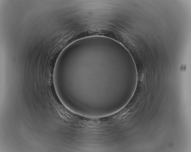 X0000090770868200707201436