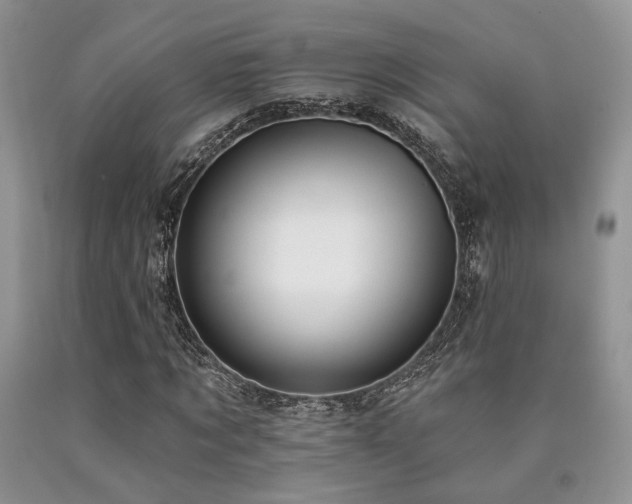X0000090770869200707201436