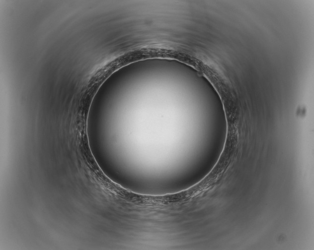X0000090770870200707201436