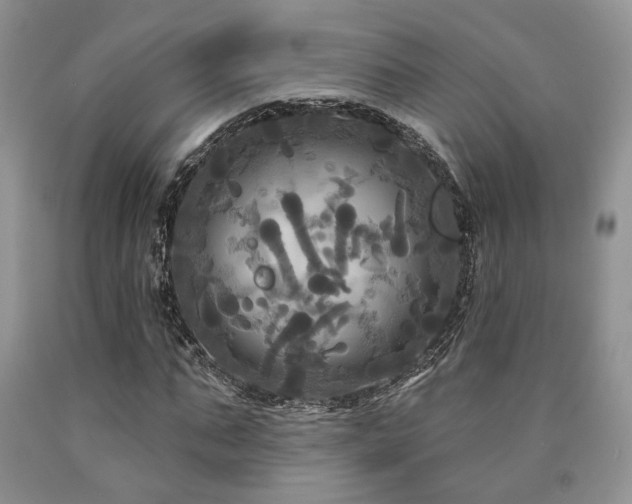 X0000090770871200707201436