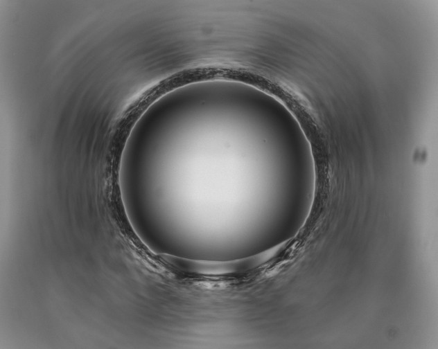 X0000090770872200707201436