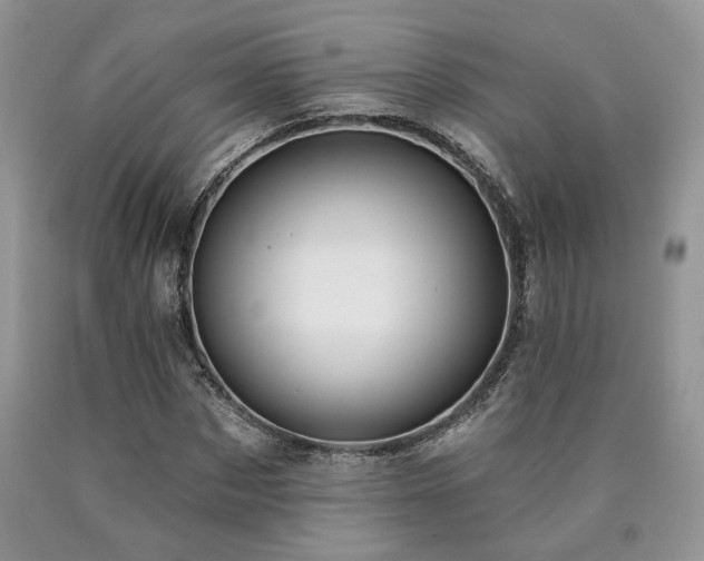 X0000090770873200707201436