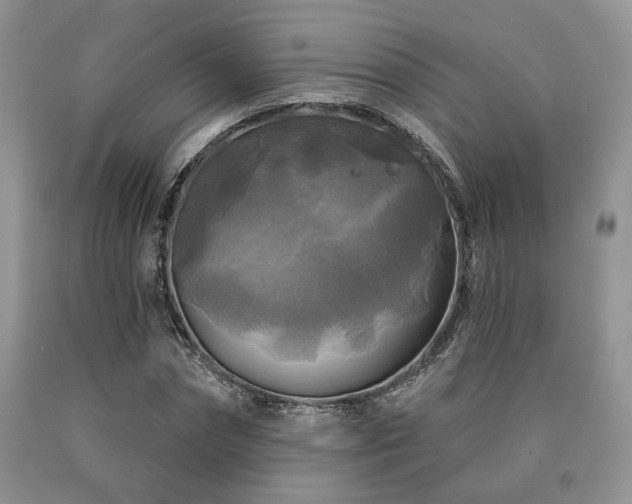 X0000090770874200707201436