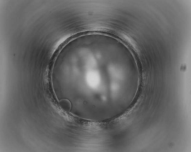 X0000090770875200707201436