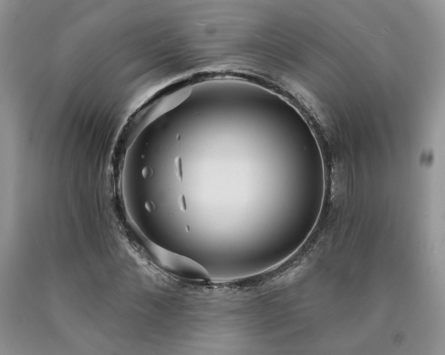 X0000090770876200707201436