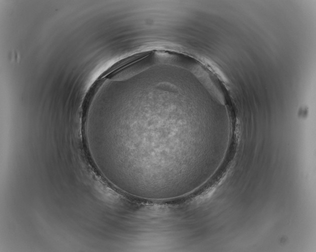 X0000090770877200707201436
