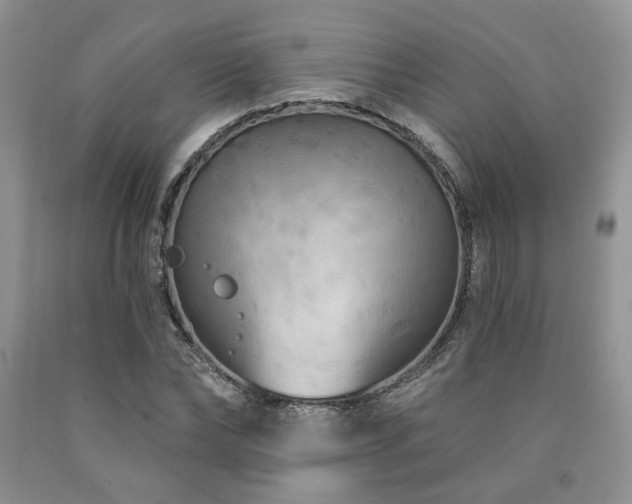 X0000090770878200707201436