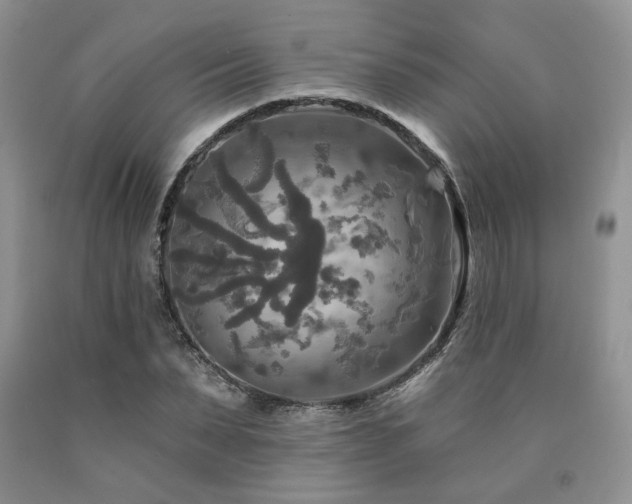 X0000090770879200707201436