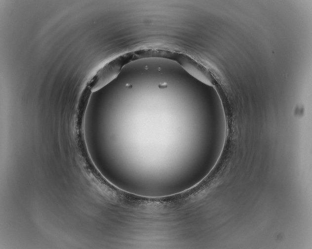 X0000090770880200707201436