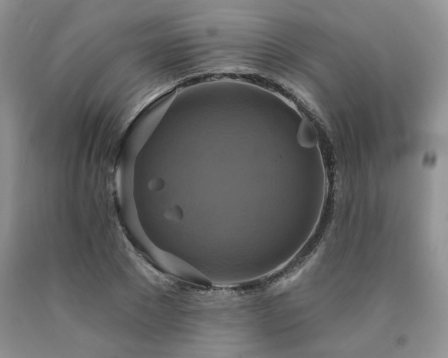 X0000090770881200707201436