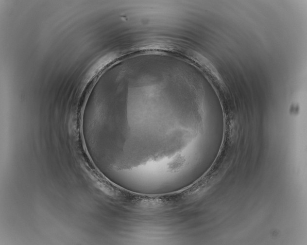 X0000090770882200707201436