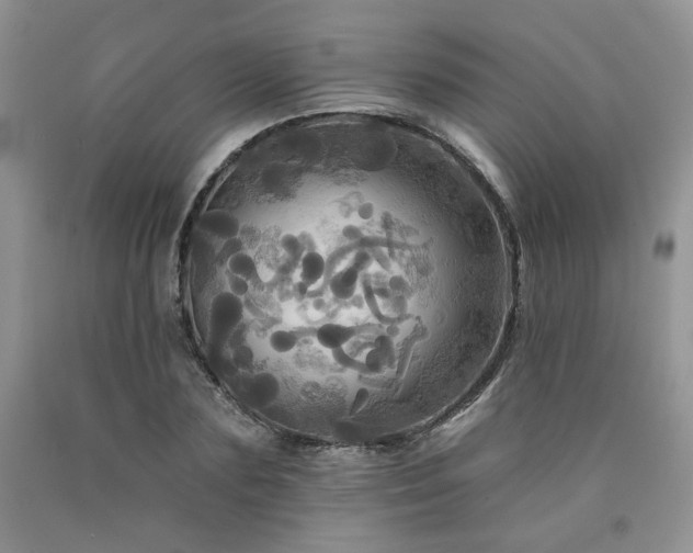X0000090770883200707201436