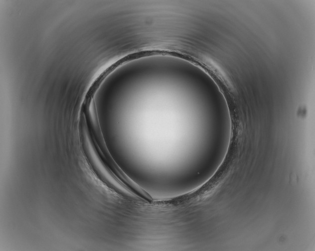 X0000090770884200707201436