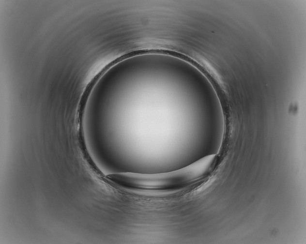 X0000090770885200707201436