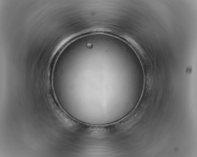 X0000090770886200707201436