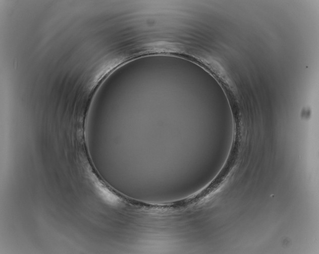 X0000090770889200707201436