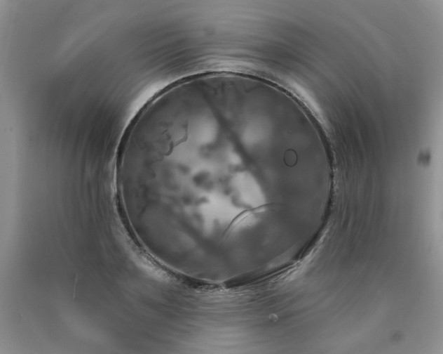 X0000090770891200707201436