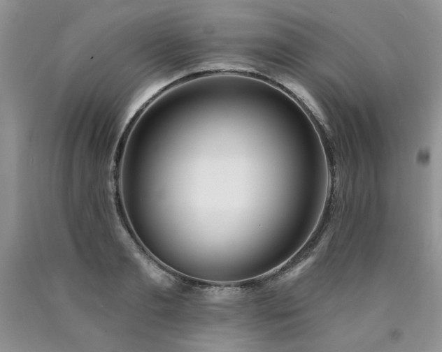 X0000090770893200707201436