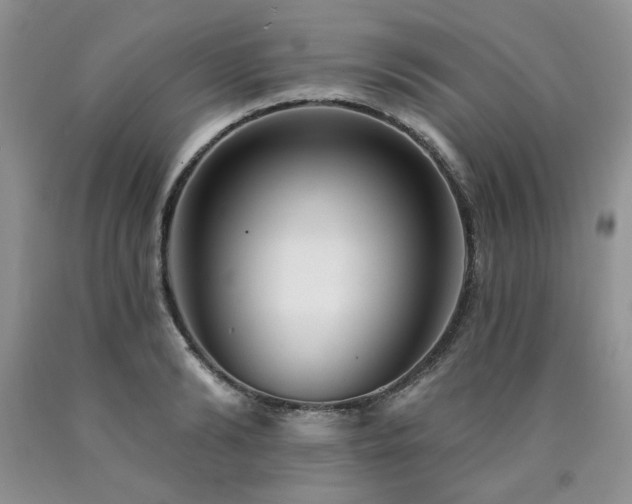 X0000090770894200707201436