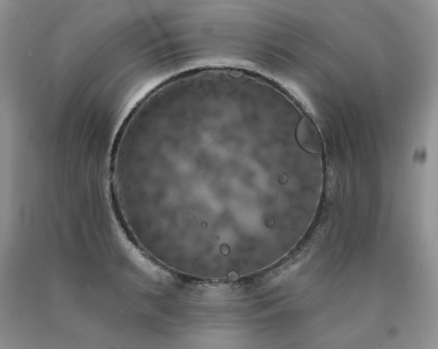 X0000090770895200707201436