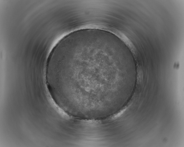 X0000090770896200707201436