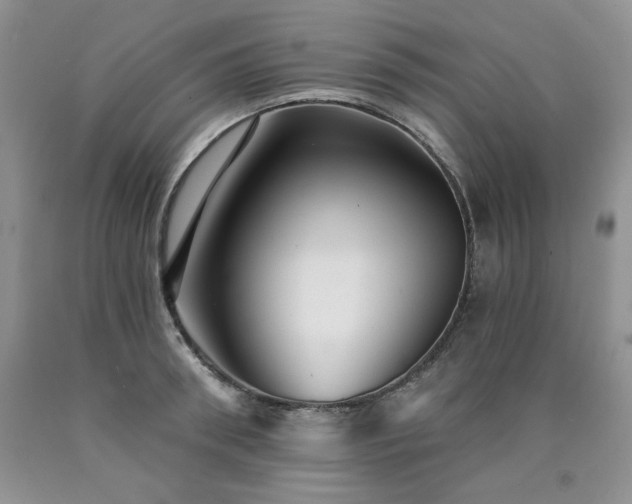 X0000090770898200707201436