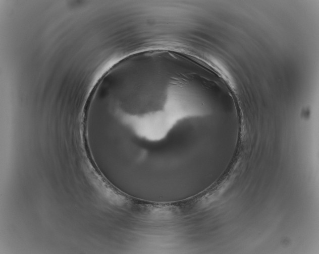X0000090770899200707201436