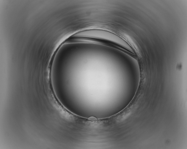X0000090770900200707201436