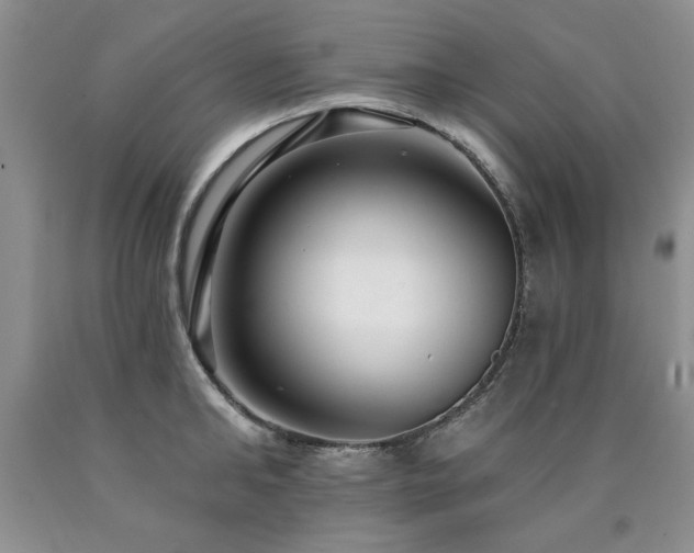 X0000090770902200707201436