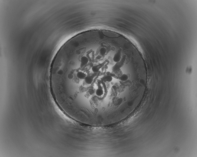 X0000090770903200707201436