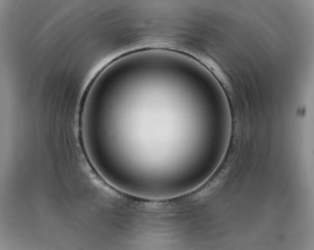 X0000090770904200707201436