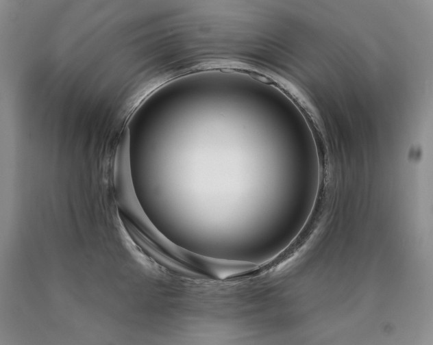 X0000090770905200707201436