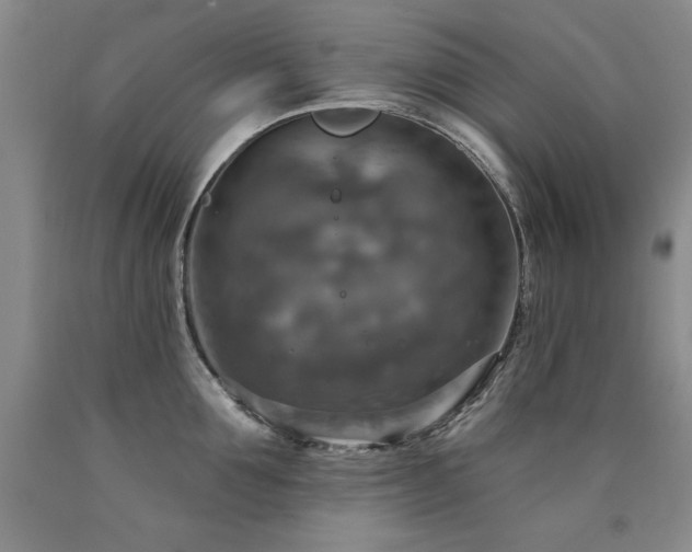 X0000090770907200707201436
