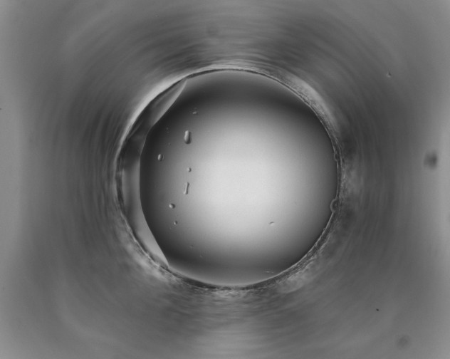 X0000090770908200707201436