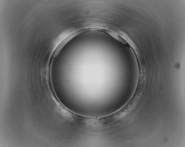 X0000090770909200707201436