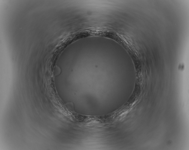 X0000090770913200707201435