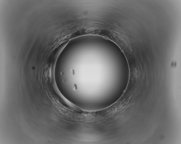 X0000090770914200707201435